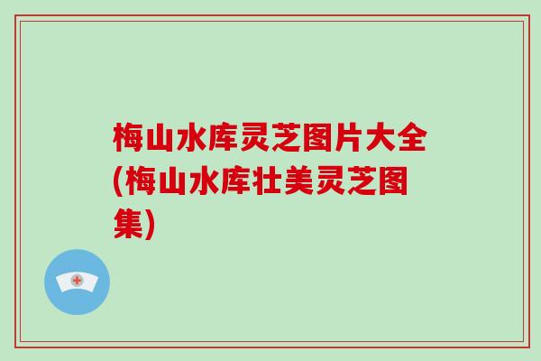 梅山水库灵芝图片大全(梅山水库壮美灵芝图集)-第1张图片-破壁灵芝孢子粉研究指南 梅山水库灵芝图片大全(梅山水库壮美灵芝图集)-第1张图片-破壁灵芝孢子粉研究指南