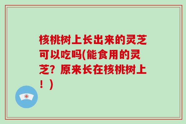 核桃树上长出来的灵芝可以吃吗(能食用的灵芝?原来长在核桃树上!)-第1张图片-破壁灵芝孢子粉研究指南 核桃树上长出来的灵芝可以吃吗(能食用的灵芝?原来长在核桃树上!)-第1张图片-破壁灵芝孢子粉研究指南