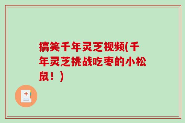 搞笑千年灵芝视频(千年灵芝挑战吃枣的小松鼠！)-第1张图片-破壁灵芝孢子粉研究指南