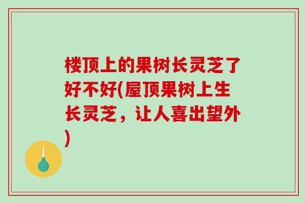 楼顶上的果树长灵芝了好不好(屋顶果树上生长灵芝,让人喜出望外)-第1张图片-破壁灵芝孢子粉研究指南 楼顶上的果树长灵芝了好不好(屋顶果树上生长灵芝,让人喜出望外)-第1张图片-破壁灵芝孢子粉研究指南