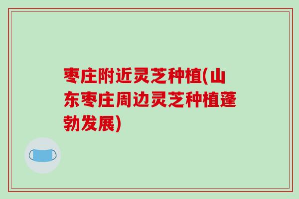 枣庄附近灵芝种植(山东枣庄周边灵芝种植蓬勃发展)-第1张图片-破壁灵芝孢子粉研究指南 枣庄附近灵芝种植(山东枣庄周边灵芝种植蓬勃发展)-第1张图片-破壁灵芝孢子粉研究指南