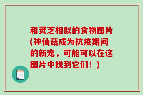 和灵芝相似的食物图片(神仙菇成为抗疫期间的新宠,可能可以在这图片中找到它们!)-第1张图片-破壁灵芝孢子粉研究指南 和灵芝相似的食物图片(神仙菇成为抗疫期间的新宠,可能可以在这图片中找到它们!)-第1张图片-破壁灵芝孢子粉研究指南