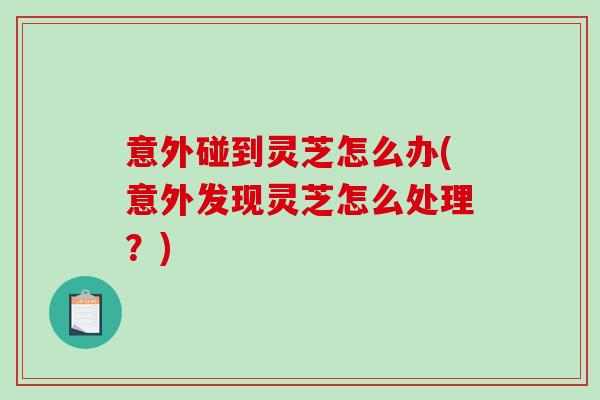 意外碰到灵芝怎么办(意外发现灵芝怎么处理？)-第1张图片-破壁灵芝孢子粉研究指南