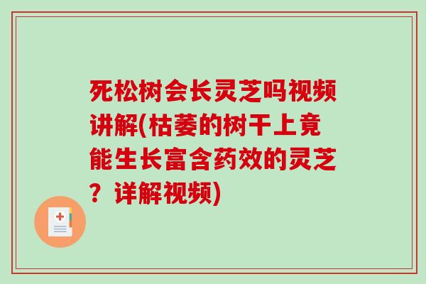 死松树会长灵芝吗视频讲解(枯萎的树干上竟能生长富含药效的灵芝?详解视频)-第1张图片-破壁灵芝孢子粉研究指南 死松树会长灵芝吗视频讲解(枯萎的树干上竟能生长富含药效的灵芝?详解视频)-第1张图片-破壁灵芝孢子粉研究指南