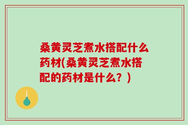 桑黄灵芝煮水搭配什么药材(桑黄灵芝煮水搭配的药材是什么？)-第1张图片-破壁灵芝孢子粉研究指南