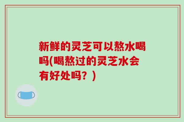 新鲜的灵芝可以熬水喝吗(喝熬过的灵芝水会有好处吗?)-第1张图片-破壁灵芝孢子粉研究指南 新鲜的灵芝可以熬水喝吗(喝熬过的灵芝水会有好处吗?)-第1张图片-破壁灵芝孢子粉研究指南
