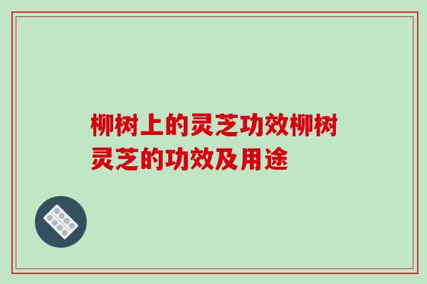 柳树上的灵芝功效柳树灵芝的功效及用途-第1张图片-破壁灵芝孢子粉研究指南