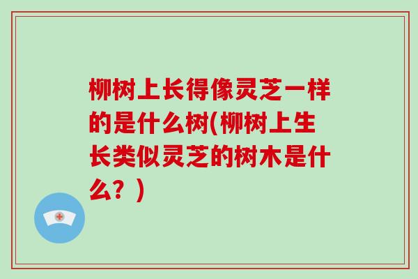 柳树上长得像灵芝一样的是什么树(柳树上生长类似灵芝的树木是什么?)-第1张图片-破壁灵芝孢子粉研究指南 柳树上长得像灵芝一样的是什么树(柳树上生长类似灵芝的树木是什么?)-第1张图片-破壁灵芝孢子粉研究指南