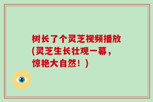 树长了个灵芝视频播放(灵芝生长壮观一幕,惊艳大自然!)-第1张图片-破壁灵芝孢子粉研究指南 树长了个灵芝视频播放(灵芝生长壮观一幕,惊艳大自然!)-第1张图片-破壁灵芝孢子粉研究指南