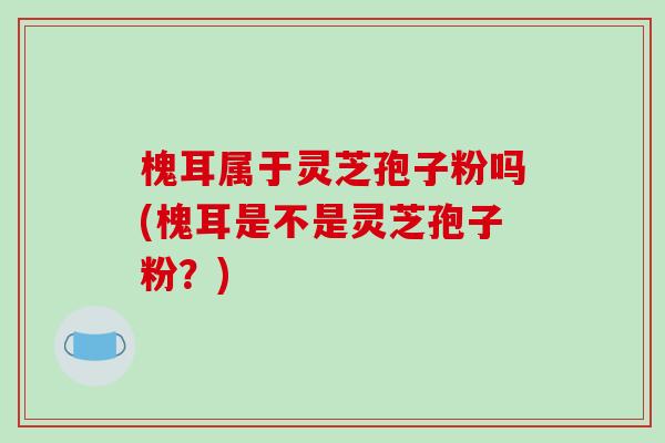 槐耳属于灵芝孢子粉吗(槐耳是不是灵芝孢子粉?)-第1张图片-破壁灵芝孢子粉研究指南 槐耳属于灵芝孢子粉吗(槐耳是不是灵芝孢子粉?)-第1张图片-破壁灵芝孢子粉研究指南