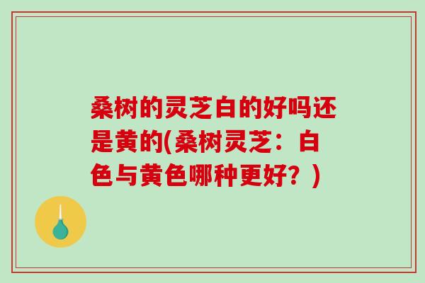 桑树的灵芝白的好吗还是黄的(桑树灵芝:白色与黄色哪种更好?)-第1张图片-破壁灵芝孢子粉研究指南 桑树的灵芝白的好吗还是黄的(桑树灵芝:白色与黄色哪种更好?)-第1张图片-破壁灵芝孢子粉研究指南