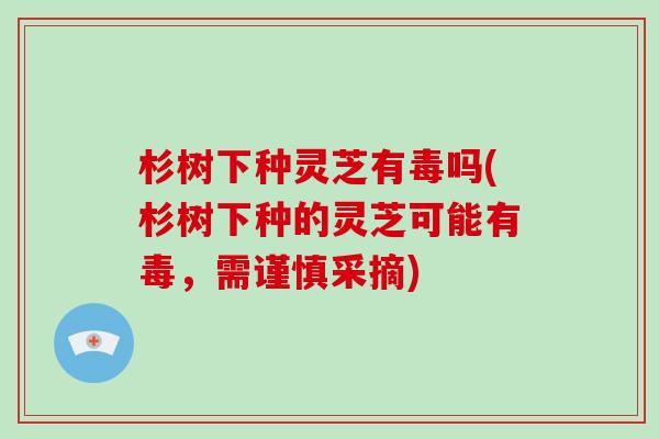 杉树下种灵芝有毒吗(杉树下种的灵芝可能有毒，需谨慎采摘)-第1张图片-破壁灵芝孢子粉研究指南