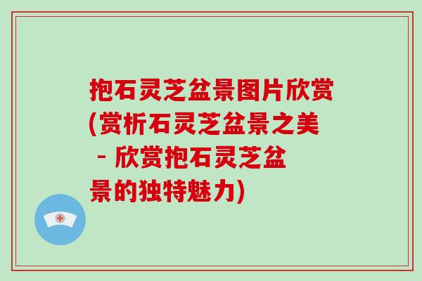 抱石灵芝盆景图片欣赏(赏析石灵芝盆景之美 - 欣赏抱石灵芝盆景的独特魅力)-第1张图片-破壁灵芝孢子粉研究指南