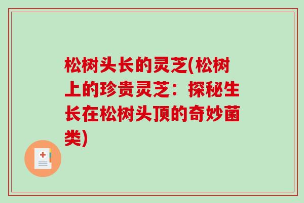 松树头长的灵芝(松树上的珍贵灵芝:探秘生长在松树头顶的奇妙菌类)-第1张图片-破壁灵芝孢子粉研究指南 松树头长的灵芝(松树上的珍贵灵芝:探秘生长在松树头顶的奇妙菌类)-第1张图片-破壁灵芝孢子粉研究指南