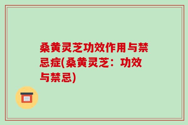 桑黄灵芝功效作用与禁忌症(桑黄灵芝：功效与禁忌)-第1张图片-破壁灵芝孢子粉研究指南