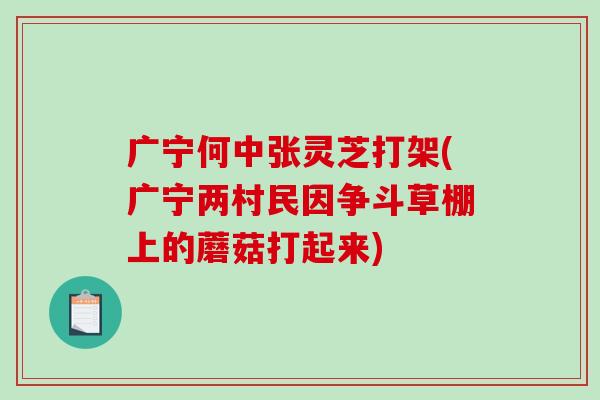 广宁何中张灵芝打架(广宁两村民因争斗草棚上的蘑菇打起来)-第1张图片-破壁灵芝孢子粉研究指南
