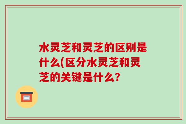 水灵芝和灵芝的区别是什么(区分水灵芝和灵芝的关键是什么?-第1张图片-破壁灵芝孢子粉研究指南 水灵芝和灵芝的区别是什么(区分水灵芝和灵芝的关键是什么?-第1张图片-破壁灵芝孢子粉研究指南