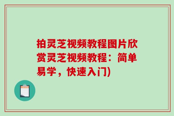 拍灵芝视频教程图片欣赏灵芝视频教程:简单易学,快速入门)-第1张图片-破壁灵芝孢子粉研究指南 拍灵芝视频教程图片欣赏灵芝视频教程:简单易学,快速入门)-第1张图片-破壁灵芝孢子粉研究指南