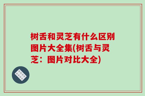树舌和灵芝有什么区别图片大全集(树舌与灵芝:图片对比大全)-第1张图片-破壁灵芝孢子粉研究指南 树舌和灵芝有什么区别图片大全集(树舌与灵芝:图片对比大全)-第1张图片-破壁灵芝孢子粉研究指南