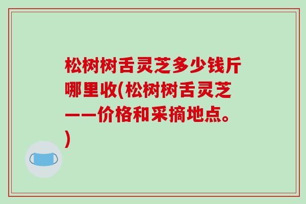松树树舌灵芝多少钱斤哪里收(松树树舌灵芝——价格和采摘地点。)-第1张图片-破壁灵芝孢子粉研究指南 松树树舌灵芝多少钱斤哪里收(松树树舌灵芝——价格和采摘地点。)-第1张图片-破壁灵芝孢子粉研究指南