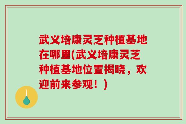 武义培康灵芝种植基地在哪里(武义培康灵芝种植基地位置揭晓,欢迎前来参观!)-第1张图片-破壁灵芝孢子粉研究指南 武义培康灵芝种植基地在哪里(武义培康灵芝种植基地位置揭晓,欢迎前来参观!)-第1张图片-破壁灵芝孢子粉研究指南