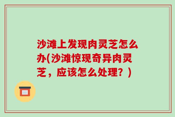 沙滩上发现肉灵芝怎么办(沙滩惊现奇异肉灵芝，应该怎么处理？)-第1张图片-破壁灵芝孢子粉研究指南