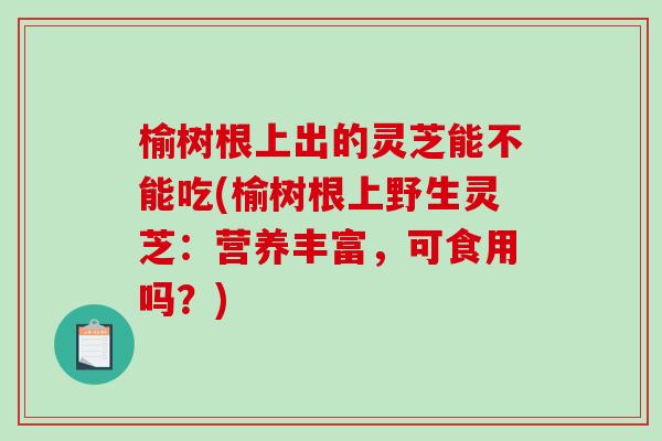 榆树根上出的灵芝能不能吃(榆树根上野生灵芝:营养丰富,可食用吗?)-第1张图片-破壁灵芝孢子粉研究指南 榆树根上出的灵芝能不能吃(榆树根上野生灵芝:营养丰富,可食用吗?)-第1张图片-破壁灵芝孢子粉研究指南