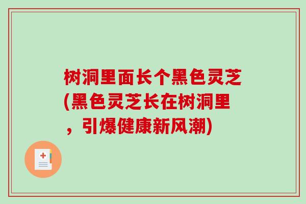 树洞里面长个黑色灵芝(黑色灵芝长在树洞里,引爆健康新风潮)-第1张图片-破壁灵芝孢子粉研究指南 树洞里面长个黑色灵芝(黑色灵芝长在树洞里,引爆健康新风潮)-第1张图片-破壁灵芝孢子粉研究指南