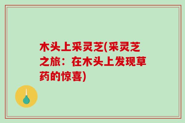 木头上采灵芝(采灵芝之旅:在木头上发现草药的惊喜)-第1张图片-破壁灵芝孢子粉研究指南 木头上采灵芝(采灵芝之旅:在木头上发现草药的惊喜)-第1张图片-破壁灵芝孢子粉研究指南