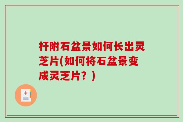 杆附石盆景如何长出灵芝片(如何将石盆景变成灵芝片?)-第1张图片-破壁灵芝孢子粉研究指南 杆附石盆景如何长出灵芝片(如何将石盆景变成灵芝片?)-第1张图片-破壁灵芝孢子粉研究指南
