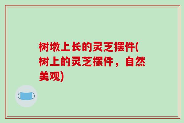树墩上长的灵芝摆件(树上的灵芝摆件,自然美观)-第1张图片-破壁灵芝孢子粉研究指南 树墩上长的灵芝摆件(树上的灵芝摆件,自然美观)-第1张图片-破壁灵芝孢子粉研究指南