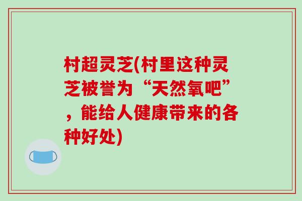 村超灵芝(村里这种灵芝被誉为“天然氧吧”,能给人健康带来的各种好处)-第1张图片-破壁灵芝孢子粉研究指南 村超灵芝(村里这种灵芝被誉为“天然氧吧”,能给人健康带来的各种好处)-第1张图片-破壁灵芝孢子粉研究指南
