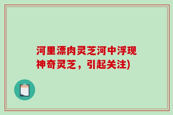 河里漂肉灵芝河中浮现神奇灵芝,引起关注)-第1张图片-破壁灵芝孢子粉研究指南 河里漂肉灵芝河中浮现神奇灵芝,引起关注)-第1张图片-破壁灵芝孢子粉研究指南
