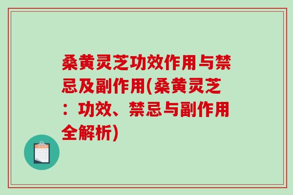 桑黄灵芝功效作用与禁忌及副作用(桑黄灵芝:功效、禁忌与副作用全解析)-第1张图片-破壁灵芝孢子粉研究指南 桑黄灵芝功效作用与禁忌及副作用(桑黄灵芝:功效、禁忌与副作用全解析)-第1张图片-破壁灵芝孢子粉研究指南
