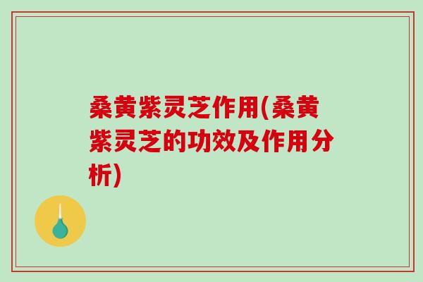 桑黄紫灵芝作用(桑黄紫灵芝的功效及作用分析)-第1张图片-破壁灵芝孢子粉研究指南 桑黄紫灵芝作用(桑黄紫灵芝的功效及作用分析)-第1张图片-破壁灵芝孢子粉研究指南