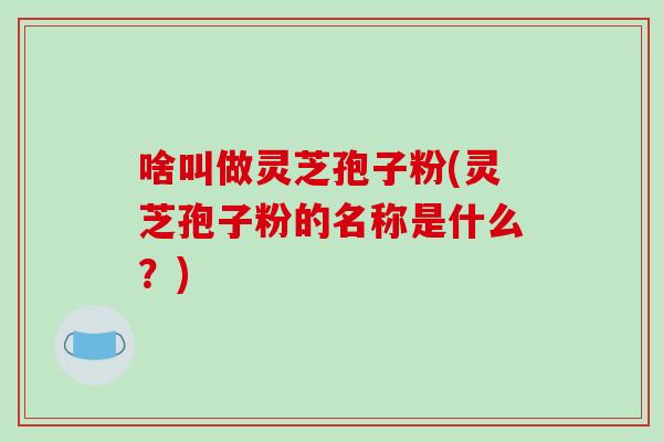 啥叫做灵芝孢子粉(灵芝孢子粉的名称是什么?)-第1张图片-破壁灵芝孢子粉研究指南 啥叫做灵芝孢子粉(灵芝孢子粉的名称是什么?)-第1张图片-破壁灵芝孢子粉研究指南