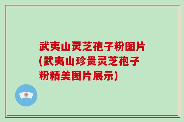 武夷山灵芝孢子粉图片(武夷山珍贵灵芝孢子粉精美图片展示)-第1张图片-破壁灵芝孢子粉研究指南 武夷山灵芝孢子粉图片(武夷山珍贵灵芝孢子粉精美图片展示)-第1张图片-破壁灵芝孢子粉研究指南