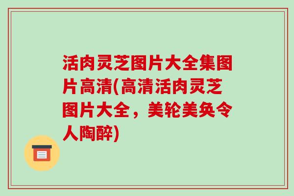 活肉灵芝图片大全集图片高清(高清活肉灵芝图片大全,美轮美奂令人陶醉)-第1张图片-破壁灵芝孢子粉研究指南 活肉灵芝图片大全集图片高清(高清活肉灵芝图片大全,美轮美奂令人陶醉)-第1张图片-破壁灵芝孢子粉研究指南