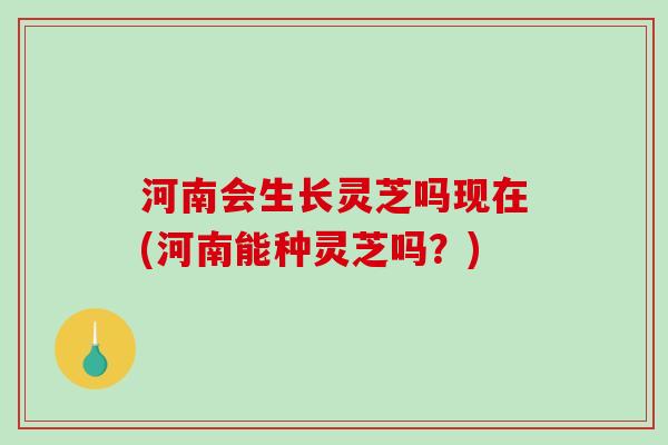 河南会生长灵芝吗现在(河南能种灵芝吗?)-第1张图片-破壁灵芝孢子粉研究指南 河南会生长灵芝吗现在(河南能种灵芝吗?)-第1张图片-破壁灵芝孢子粉研究指南