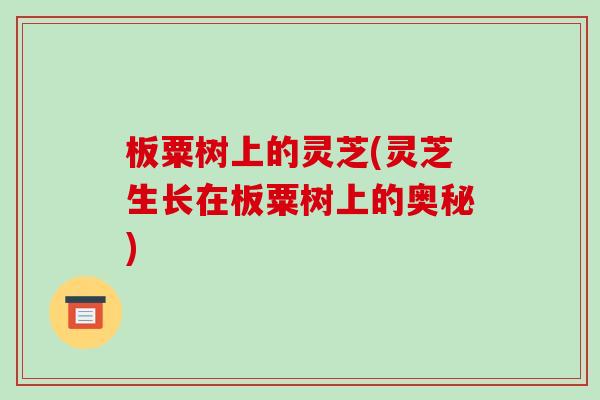板粟树上的灵芝(灵芝生长在板粟树上的奥秘)-第1张图片-破壁灵芝孢子粉研究指南 板粟树上的灵芝(灵芝生长在板粟树上的奥秘)-第1张图片-破壁灵芝孢子粉研究指南