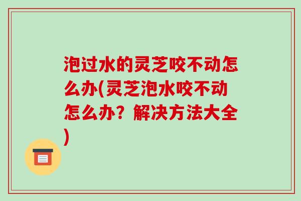 泡过水的灵芝咬不动怎么办(灵芝泡水咬不动怎么办?解决方法大全)-第1张图片-破壁灵芝孢子粉研究指南 泡过水的灵芝咬不动怎么办(灵芝泡水咬不动怎么办?解决方法大全)-第1张图片-破壁灵芝孢子粉研究指南