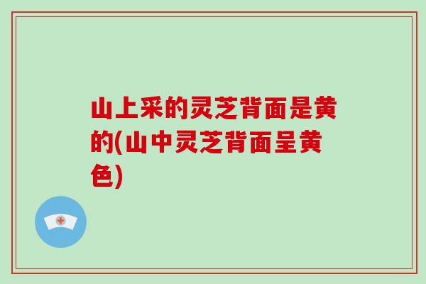 山上采的灵芝背面是黄的(山中灵芝背面呈黄色)-第1张图片-破壁灵芝孢子粉研究指南 山上采的灵芝背面是黄的(山中灵芝背面呈黄色)-第1张图片-破壁灵芝孢子粉研究指南