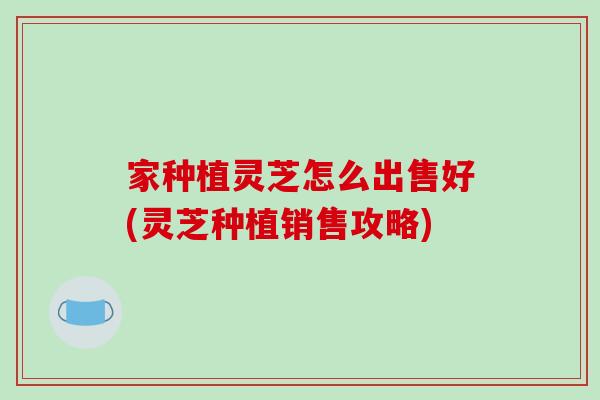 家种植灵芝怎么出售好(灵芝种植销售攻略)-第1张图片-破壁灵芝孢子粉研究指南 家种植灵芝怎么出售好(灵芝种植销售攻略)-第1张图片-破壁灵芝孢子粉研究指南