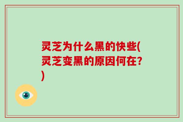 灵芝为什么黑的快些(灵芝变黑的原因何在？)-第1张图片-破壁灵芝孢子粉研究指南