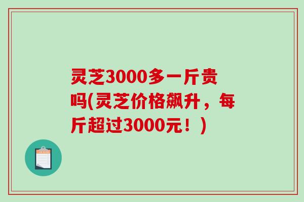 灵芝3000多一斤贵吗(灵芝价格飙升,每斤超过3000元!)-第1张图片-破壁灵芝孢子粉研究指南 灵芝3000多一斤贵吗(灵芝价格飙升,每斤超过3000元!)-第1张图片-破壁灵芝孢子粉研究指南