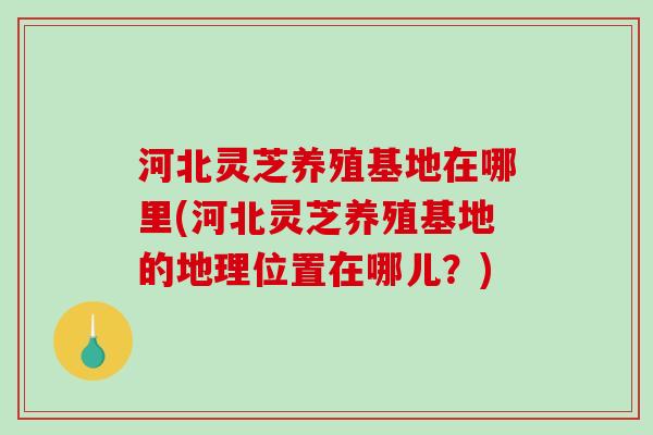河北灵芝养殖基地在哪里(河北灵芝养殖基地的地理位置在哪儿?)-第1张图片-破壁灵芝孢子粉研究指南 河北灵芝养殖基地在哪里(河北灵芝养殖基地的地理位置在哪儿?)-第1张图片-破壁灵芝孢子粉研究指南