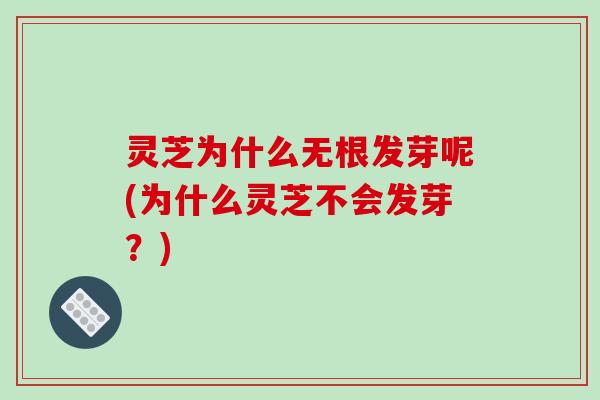 灵芝为什么无根发芽呢(为什么灵芝不会发芽?)-第1张图片-破壁灵芝孢子粉研究指南 灵芝为什么无根发芽呢(为什么灵芝不会发芽?)-第1张图片-破壁灵芝孢子粉研究指南