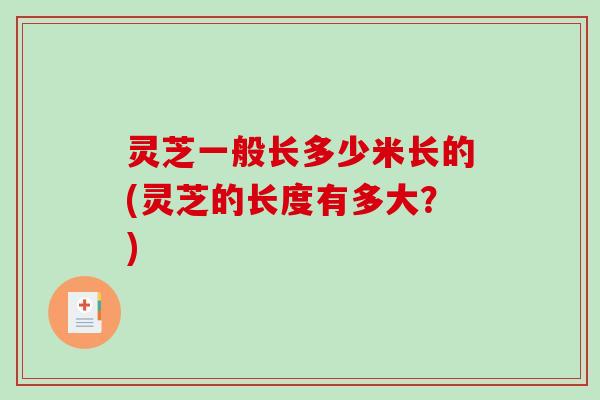 灵芝一般长多少米长的(灵芝的长度有多大?)-第1张图片-破壁灵芝孢子粉研究指南 灵芝一般长多少米长的(灵芝的长度有多大?)-第1张图片-破壁灵芝孢子粉研究指南