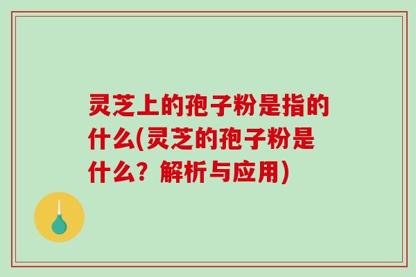 灵芝上的孢子粉是指的什么(灵芝的孢子粉是什么?解析与应用)-第1张图片-破壁灵芝孢子粉研究指南 灵芝上的孢子粉是指的什么(灵芝的孢子粉是什么?解析与应用)-第1张图片-破壁灵芝孢子粉研究指南