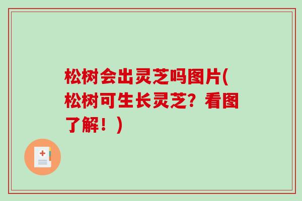 松树会出灵芝吗图片(松树可生长灵芝?看图了解!)-第1张图片-破壁灵芝孢子粉研究指南 松树会出灵芝吗图片(松树可生长灵芝?看图了解!)-第1张图片-破壁灵芝孢子粉研究指南